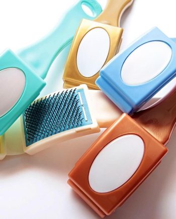 Shoe Brush